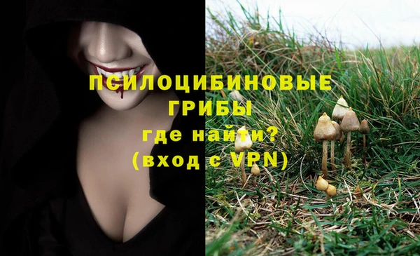 тгк Абинск