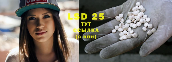 стаф Покачи