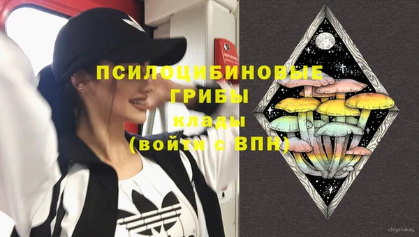 ПСИЛОЦИБИНОВЫЕ ГРИБЫ Кемь
