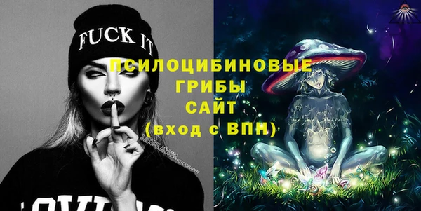 стаф Покачи