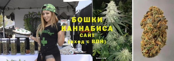 стаф Покачи