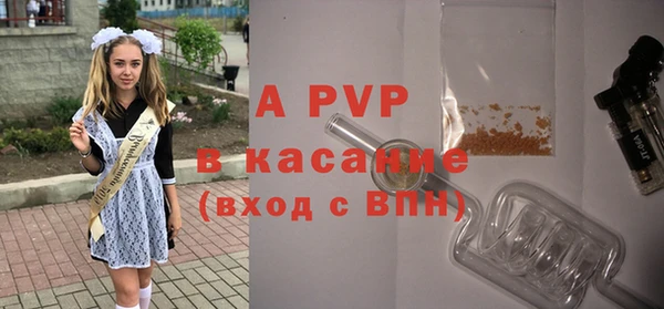 стаф Покачи