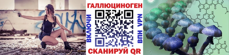 Галлюциногенные грибы Psilocybine cubensis Курчатов