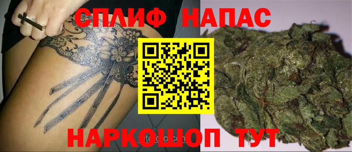 Курчатов  Бошки марихуана MAZAR  Марихуана марихуана  Бошки марихуана марихуана  Шишки марихуана семена  Вход с VPN 
